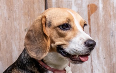 Upon of seasons earth dominion